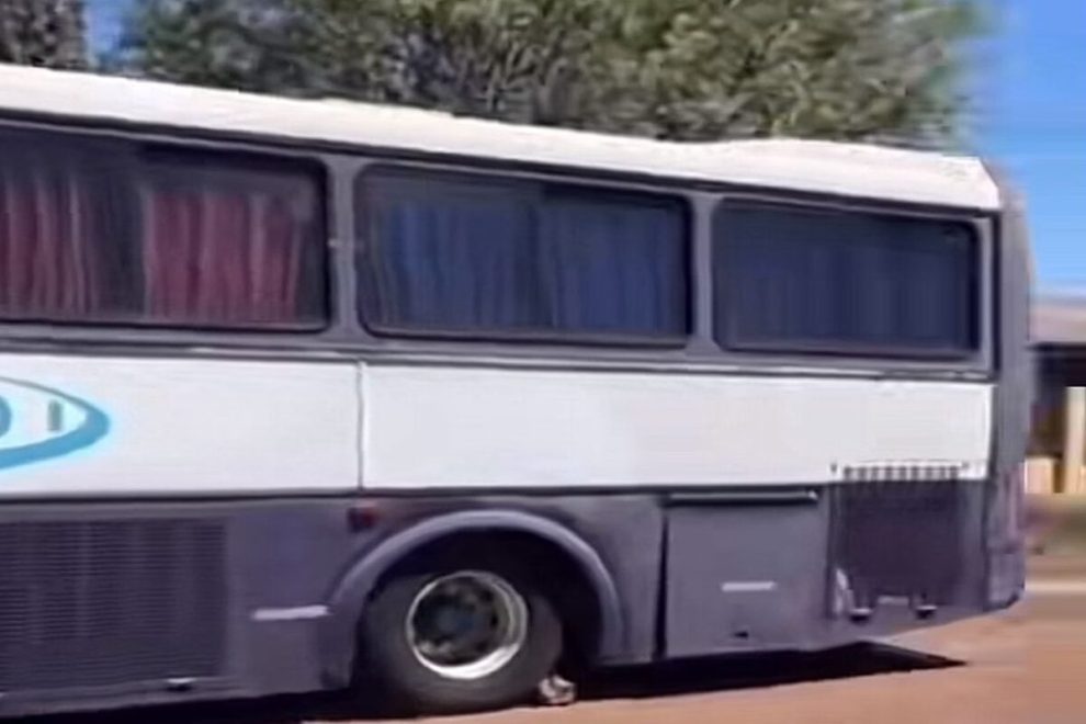 Adolescentes filmados em momento íntimo em ônibus abandonado no Paraná mandam recado à garota exposta
