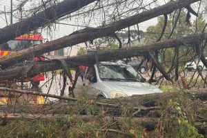 Alerta de vendaval e tempestade atinge Curitiba: veja previsão