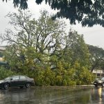 Chuva e rajada de vento de 61,9 km/h causam transtornos em Maringá; árvore caiu sobre veículo