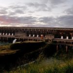 Itaipu amplia diversidade de espécies florestais em áreas de preservação no Paraná