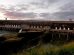 Itaipu amplia diversidade de espécies florestais em áreas de preservação no Paraná