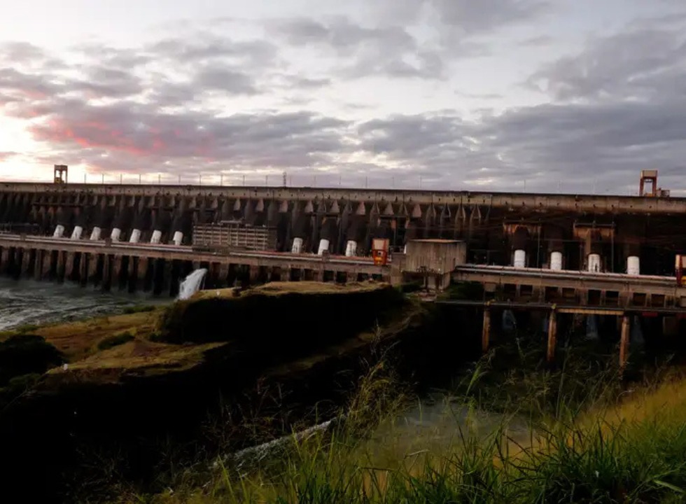 Itaipu amplia diversidade de espécies florestais em áreas de preservação no Paraná