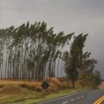 Maringá e mais 398 cidades do Paraná estão sob alerta de vendaval; veja até que horas vale o aviso