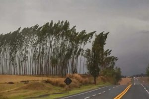 Maringá e mais 398 cidades do Paraná estão sob alerta de vendaval; veja até que horas vale o aviso