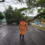 Maringá registra rajadas de vento de quase 100km/h durante temporal