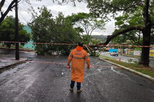 Maringá registra rajadas de vento de quase 100km/h durante temporal