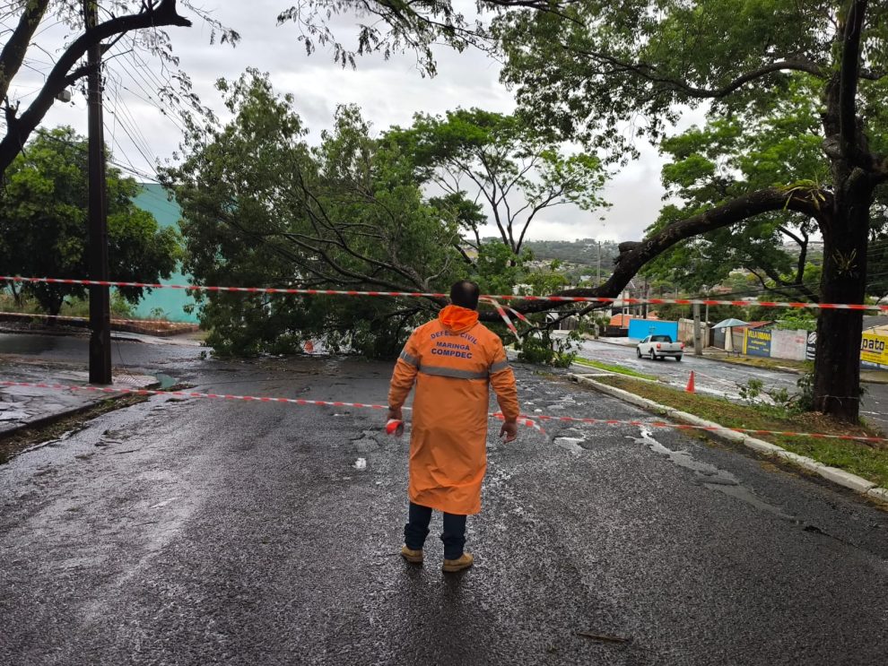 Maringá registra rajadas de vento de quase 100km/h durante temporal
