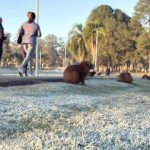 Onda de frio avança no Paraná com tempestade e mínima de 3°C