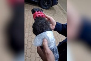 PRF apreende R$ 250 mil em cabelos humanos escondidos em carro na BR-277, no Paraná