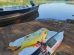 Pescador é preso no Noroeste do Paraná com dourado de 7,7 kg