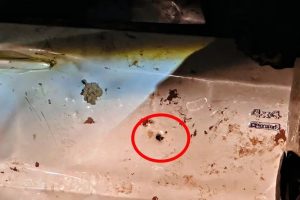 Polícia procura por armas usadas no crime em Icaraíma, uma delas um fuzil