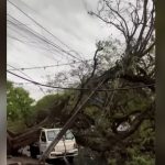 Temporais deixam mais de 400 mil imóveis sem luz no Paraná; falta de energia também afeta Maringá