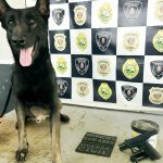 Trio é preso com pistola 9mm e cocaína após denúncia na Zona 7, em Maringá