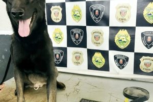 Trio é preso com pistola 9mm e cocaína após denúncia na Zona 7, em Maringá