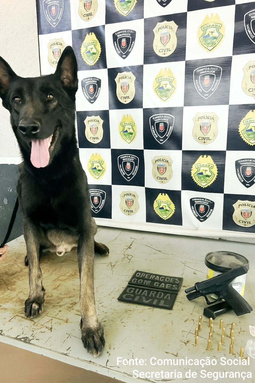 Trio é preso com pistola 9mm e cocaína após denúncia na Zona 7, em Maringá