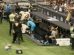 VÍDEO: Torcedor do Atlético-MG é punido por invadir campo e tirar foto com Neymar
