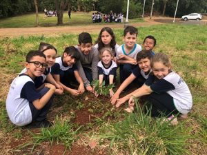 Alunos da Escola Olavo Bilac realizam plantio de árvores