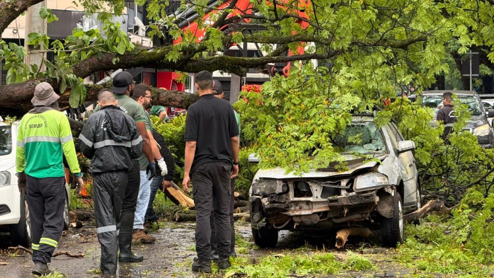 Árvore cai sobre carros em Maringá e deixa homem ferido