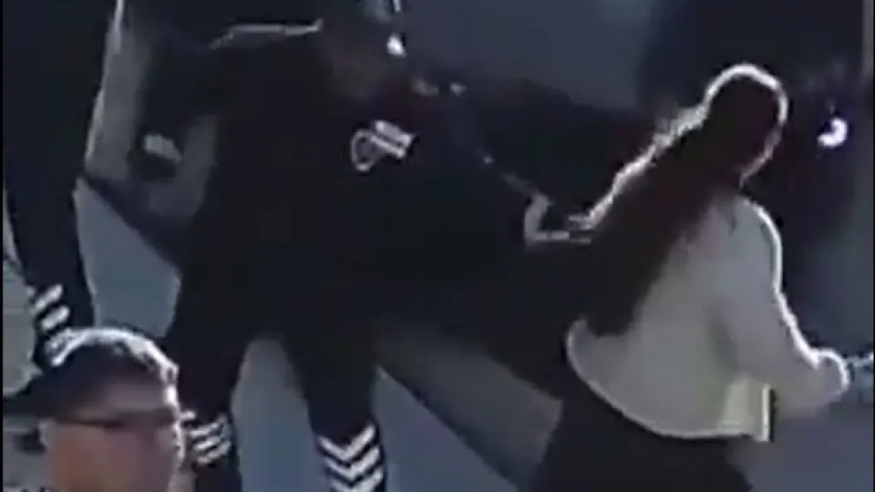 Câmera registra policial resgatando mulher segundos antes de trem passar