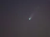 Cometa Lemmon atinge brilho máximo e pode ser visto no céu do Brasil