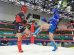 Competição estadual de artes marciais começa nesta quinta (23) em Maringá