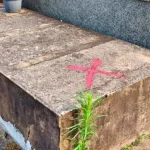 Cruzes vermelhas em túmulos causam reação em cidade do Paraná