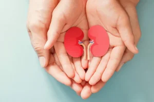 Doenças renais: sintomas, causas e hábitos que ajudam na prevenção