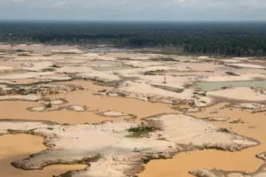 Emmanuel Macron elogia Lula pela defesa da Amazônia