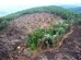 Fazendas ilegais de gado devastam áreas protegidas na Amazônia