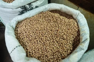 Feijão para uma vida melhor: a nova dieta revolucionária