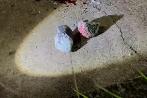 Homem é morto com pedradas ao tentar defender adolescente no Paraná