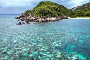 Idosa é encontrada morta após ser deixada por cruzeiro na Austrália