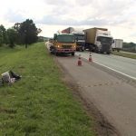 Idoso é encontrado morto com golpes de facão às margens BR-116