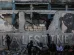 Israel acusa Hamas de violar cessar-fogo e volta a bombardear Faixa de Gaza