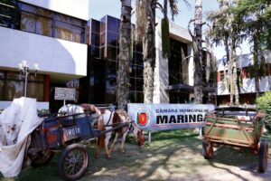 Lei que proíbe veículos de tração animal em Maringá completa oito anos em meio a crescimento do debate nacional sobre o tema