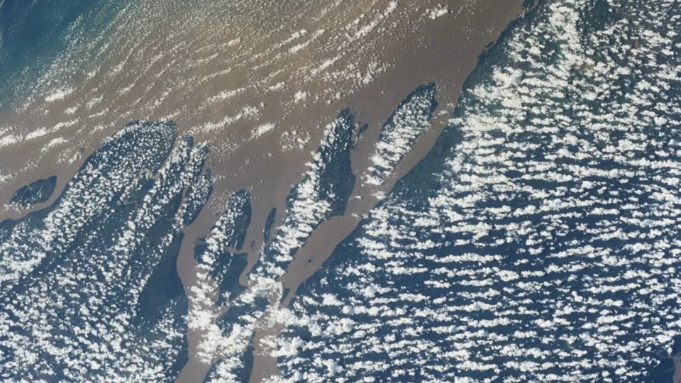 Maioria dos brasileiros quer que Lula proíba exploração de petróleo na Foz do Amazonas, diz Datafolha