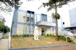 Maringá promove abertura oficial do 'Dia D' da Campanha Nacional de Multivacinação nesta sexta (17)