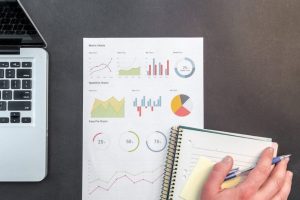 Negócios paranaenses apostam em sites otimizados e conquistam novos clientes