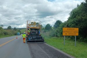 Obra revela fósseis de animais pré-históricos no Paraná
