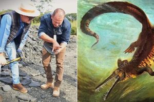 Obras são suspensas na PR-364 após descoberta de fósseis mais antigos que dinossauros