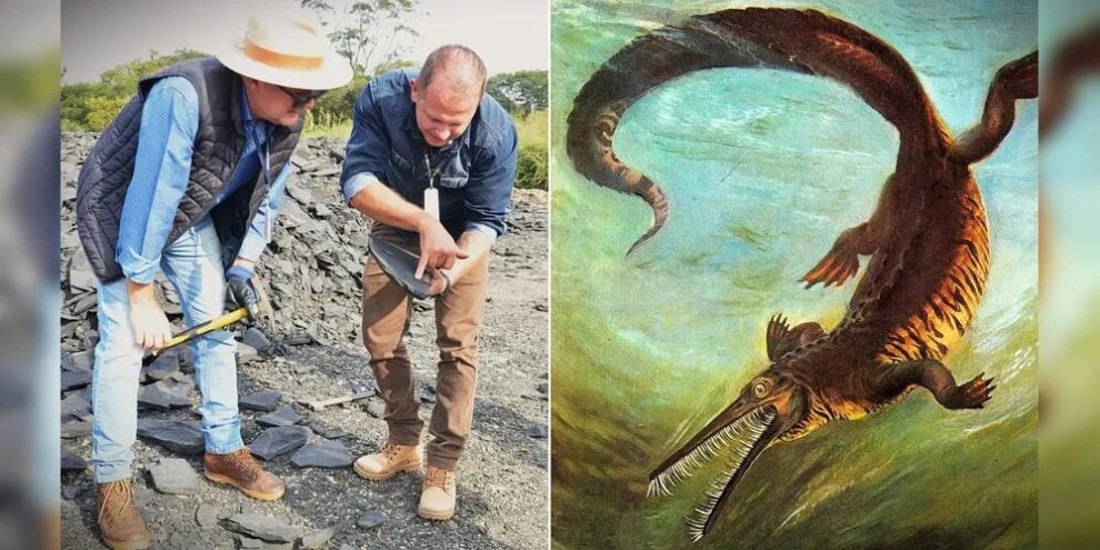 Obras são suspensas na PR-364 após descoberta de fósseis mais antigos que dinossauros