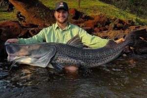 Pescador fisga Pintado de 1,55 m e 30 kg no Rio Ivaí, na região de Maringá