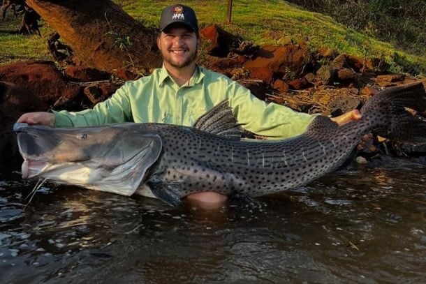 Pescador fisga Pintado de 1,55 m e 30 kg no Rio Ivaí, na região de Maringá