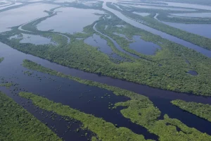Petrobras recebe licença para perfuração de poço na bacia da Foz do Amazonas