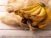 Podemos comer bananas com "manchas"? Saiba o que dizem os especialistas