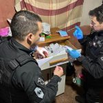 Polícia do Paraná apreende carros, imóveis e prende traficantes que movimentaram R$ 120 milhões