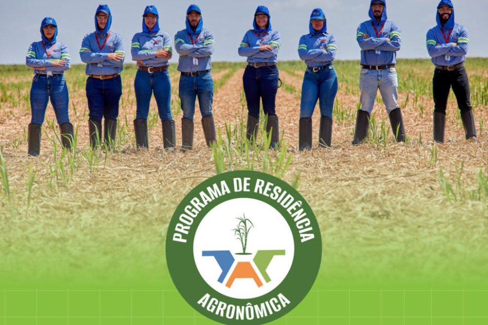Usina Santa Terezinha abre inscrições para o Programa de Residência Agronômica 2026