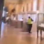 Vídeo mostra assaltantes roubando joias de Napoleão no Louvre