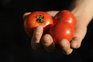 Alimentos do dia a dia que antes eram considerados impróprios para consumo
