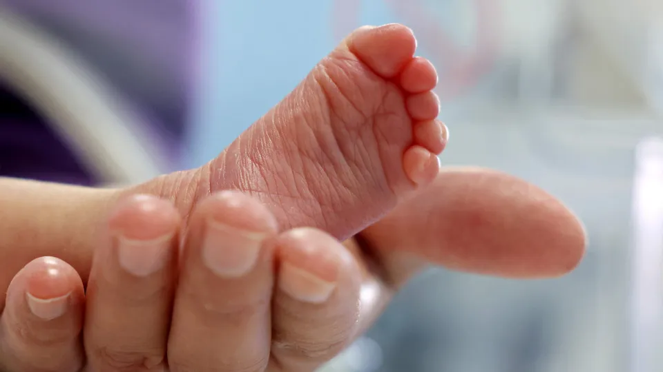 Menina de 13 anos tenta registrar bebê em SC, e padrasto é preso sob suspeita de estupro